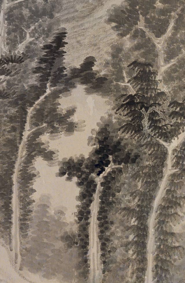 破邊樹