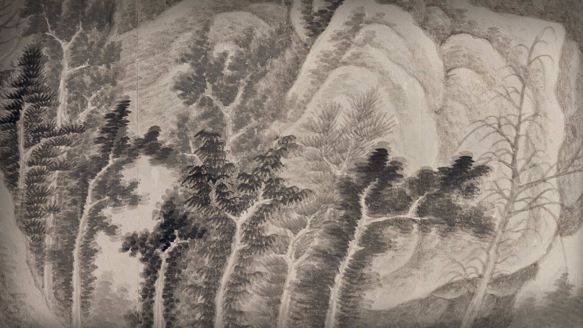 破邊樹